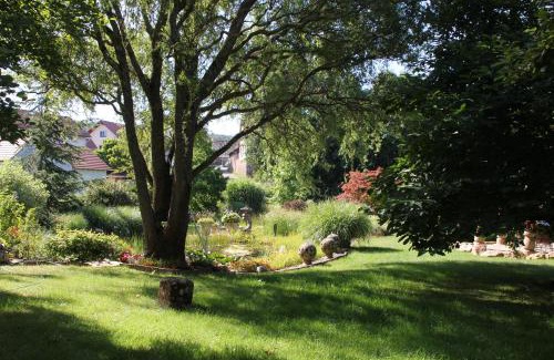 Brandau Apartment | FeWo - Wohlfühlambiente & Gartenparadies