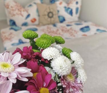 Wolgast Apartment | Fewo Wolgast Usedom Ostsee