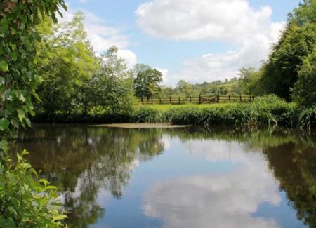 Llanpumsaint House | Fferm Y Felin
