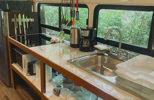 Monteverde Cabin | Ficus Wonders Bus. A Journey Through Nature