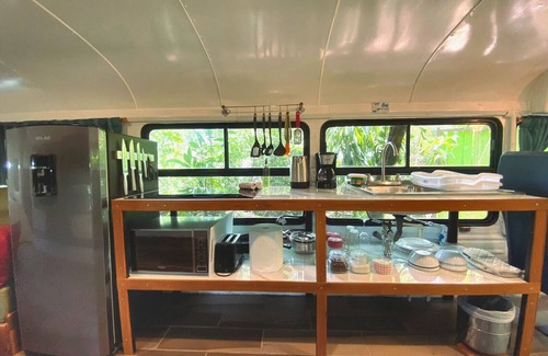 Monteverde Cabin | Ficus Wonders Bus. A Journey Through Nature