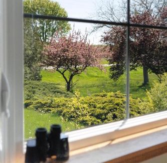 Picton House | Field of Dreams