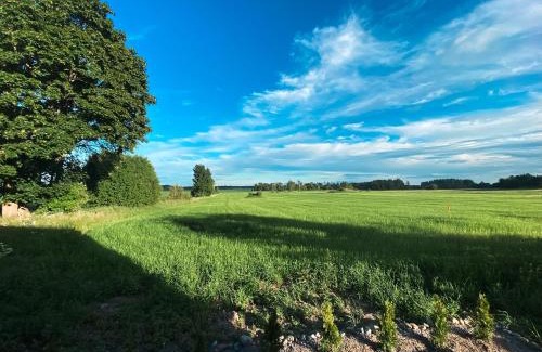 Orebro House | Field View Cabin