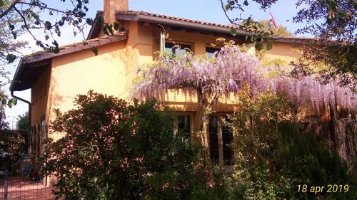 San Donato-San Vitale Apartment | Fienile FICO Fiera