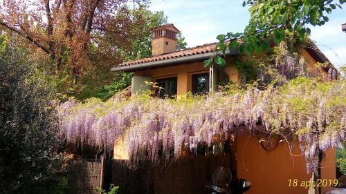 San Donato-San Vitale Apartment | Fienile FICO Fiera