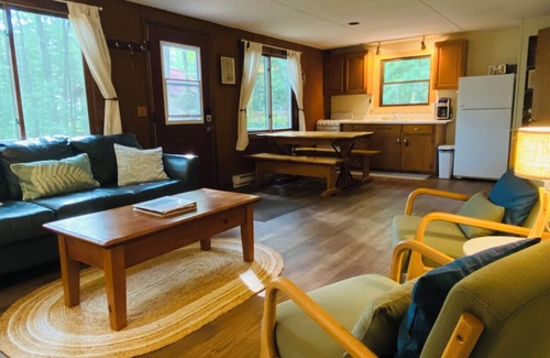 Boulder Junction Cabin | Fiesta on the Lake - Ferns on Trout Lake