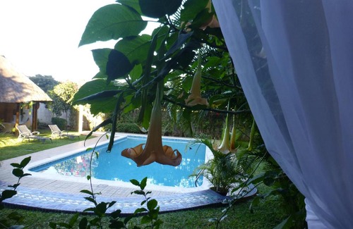 Sommerschield Bed & Breakfast | FIGTREE GUESTHOUSE