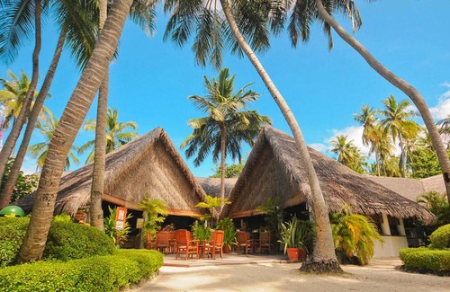 Fihalhohi Island Resort | Fihalhohi Island Resort