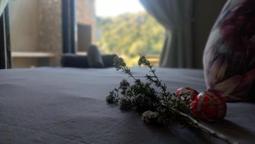 Kouga House | Fijnbosch Game Lodge Jeffreys Bay