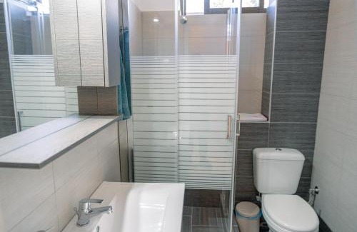 Pyrgos Apartment | Filoxenia House at Anemochori village