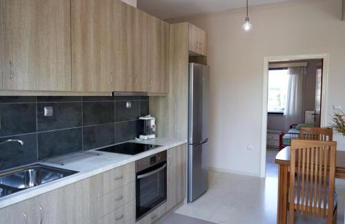 Pyrgos Apartment | Filoxenia House at Anemochori village