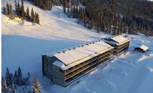 Skeikampen Apartment | Fin leilighet ca 30 min med bil til Hunderfossen