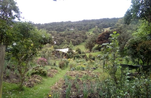 La Calera Cottage | Finca Agroecolgica Nigayala