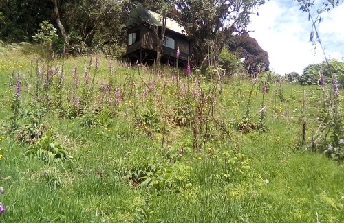 La Calera Cottage | Finca Agroecolgica Nigayala