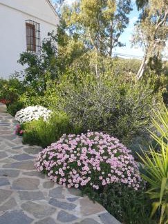 Valle de Abdalagis House | Finca Altozano - Private pool - Unique client