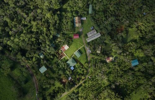 Bijagua Cabin | Finca Amistad Cacao Lodge
