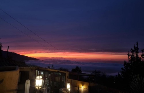 La Orotava House | Finca Casa los Dragos