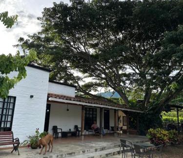 Roldanillo House | Finca criadero el origen
