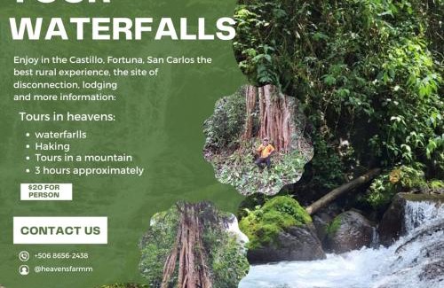 La Fortuna Bed & Breakfast | Finca Del Cielo