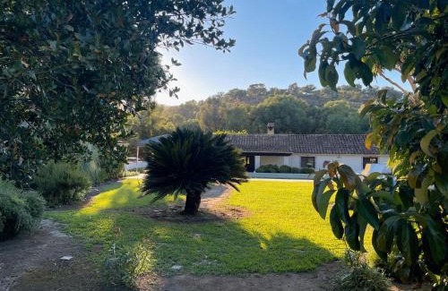 Jimena de la Frontera House | Finca El Búho Oak Natural Park