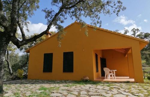 Farajan Ski Chalet | Finca El Cerro