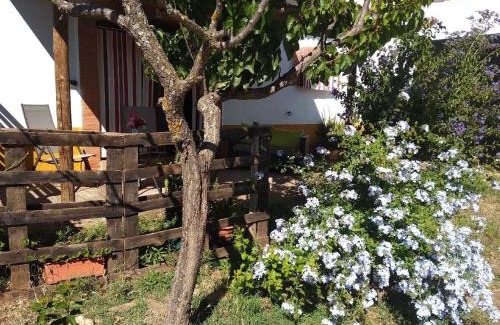 Alcuescar Apartment | Finca El Chorrillo Studio
