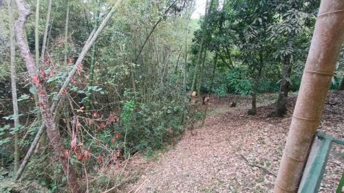 Cachipay House | Finca el Descanso