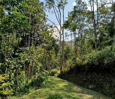 San Luis Apartment | Finca el Eden