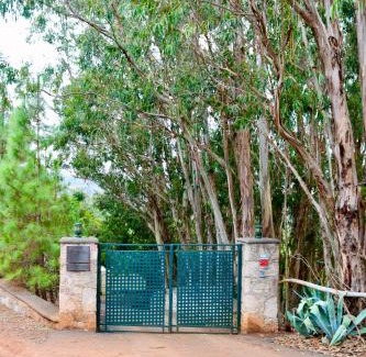 Firgas Villa | Finca El Lance Zumacal