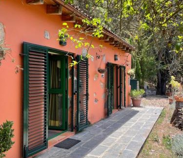 Firgas Villa | Finca El Lance Zumacal