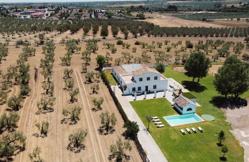 Espartinas Cottage | Finca El Lobito 20. 000m2 of olive grove, incredible views 10 minutes from downtown