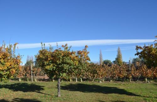 Maipu Apartment | Finca Fisterra