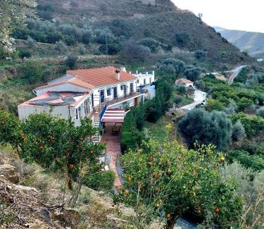 Canillas de Albaida Villa | Finca Floretta