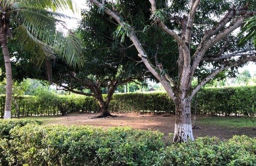 Melgar House | Finca FTW FEELING TRAVEL