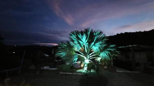 Quinchia House | finca hotel ganbaru