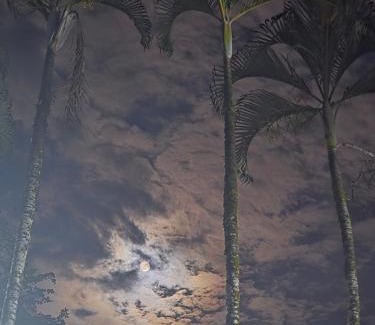 San Jeronimo Hotel | Finca Hotel Relax San Jerónimo