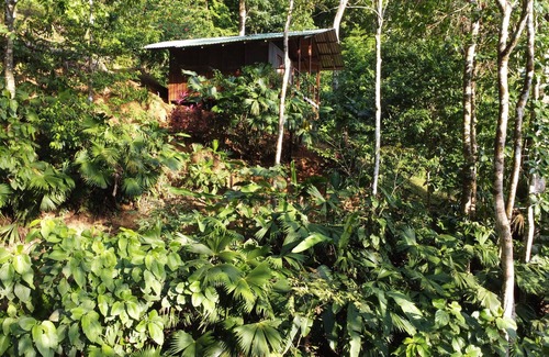 Carate Cabin | Finca la Bonita, Near Corcovado National Park.