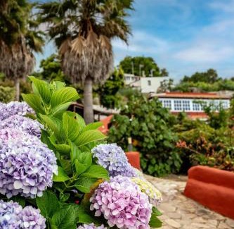 Santa Barbara House | Finca La Chamusca