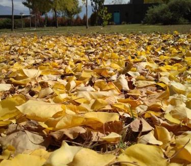 Tunuyan Hotel | Finca La Clementina