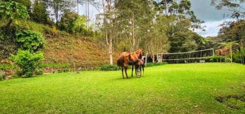 Retiro Villa | Finca La Hacienda