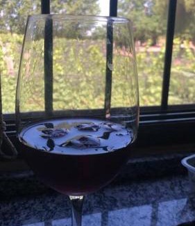 Ugarteche House | Finca, La Joya