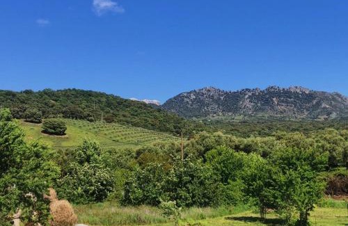 Benalauria Apartment | Finca La Rana Verde