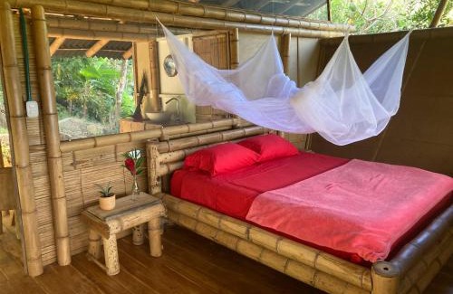 Buritaca Cabin | Finca La Selvita Chocolate experience