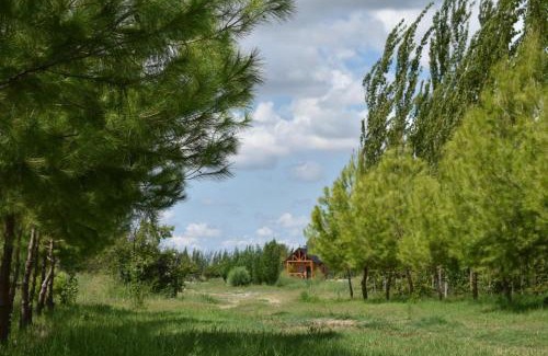 San Rafael House | Finca La Vilina - Cabaña 2
