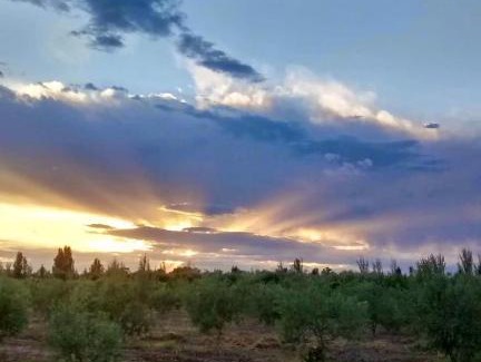 Maipu Cabin | Finca Las Acacias