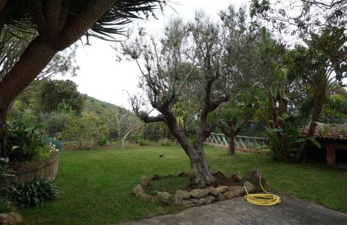 El Tanque House | Finca Las Canitas - Ferienhaus Teneriffa