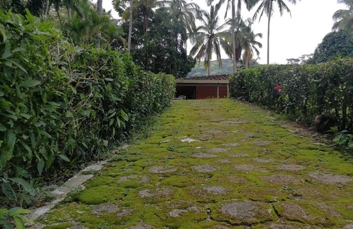 Donmatias House | Finca las Palmas