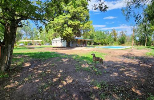 Mendoza Wine Region House | Finca Laurel