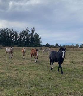Sierra de los Padres House | Finca Lincontro