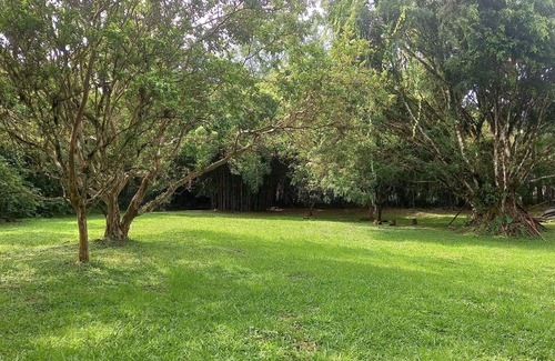Alegrias Cottage | FINCA LLUVIARES Nature Reserve, a place to walk with the sound of the river